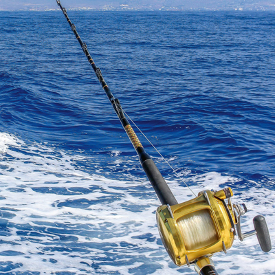 Havsfisketur för två