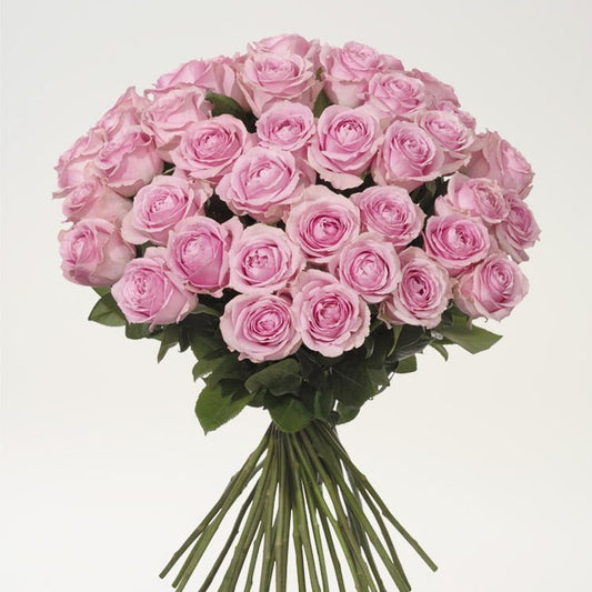 40 rosa rosor - stor bukett från Interflora